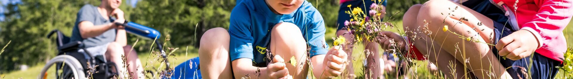 Blumenwiese auf der Eggeralm